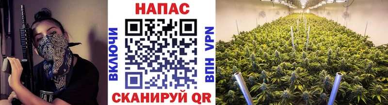 Наркошоп купить Метадон  Меф мяу мяу  Кокаин  A PVP  Пущино