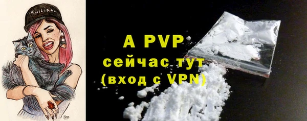 гидра Володарск