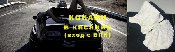 гидра Володарск
