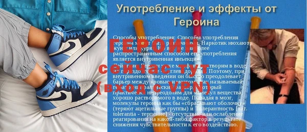 гидра Володарск