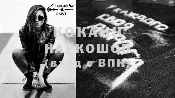 гидра Володарск