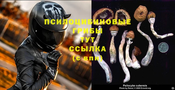 твердый Волоколамск