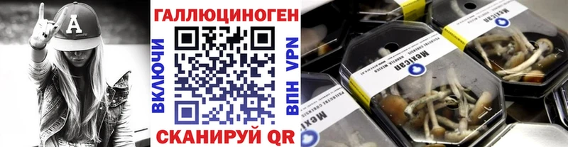 Купить где  Пущино  Галлюциногенные грибы ЛСД 